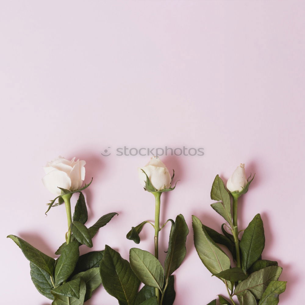 Similar – Image, Stock Photo said through the flowers