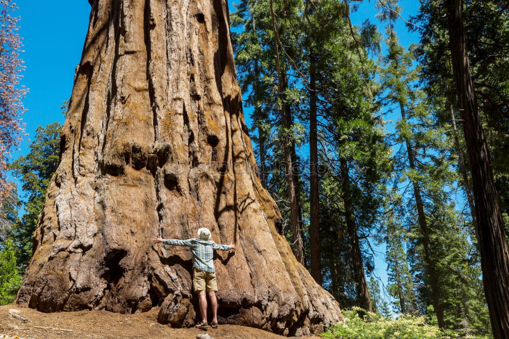 Image, Stock Photo survival Vacation & Travel
