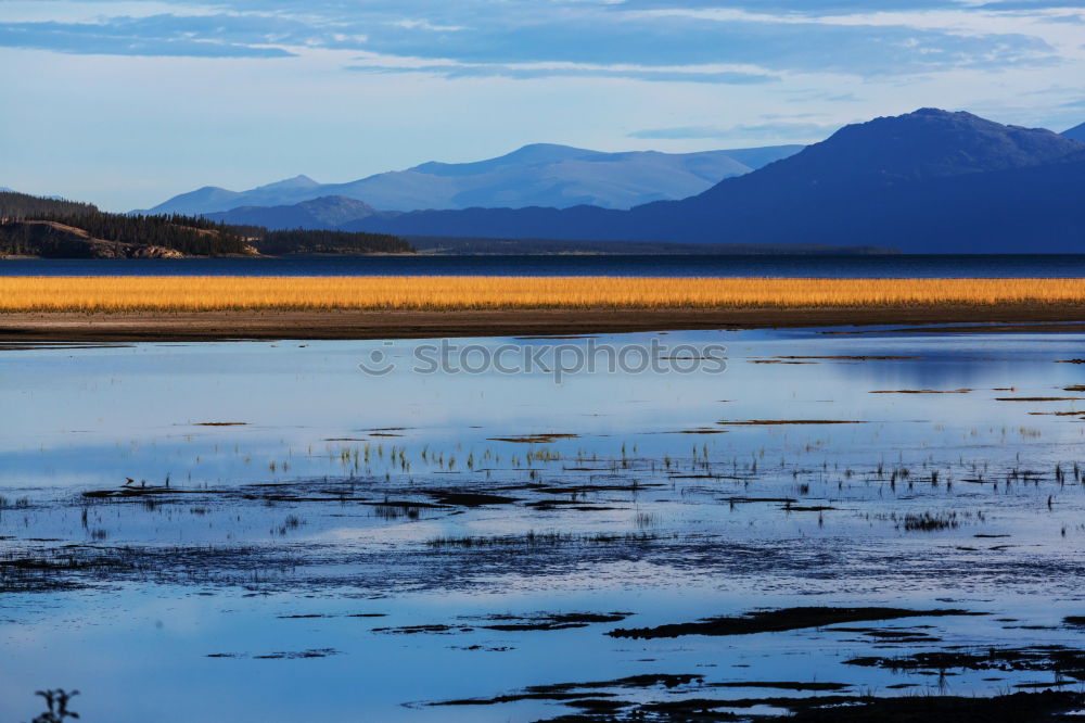 Similar – Image, Stock Photo Stalker Castle.