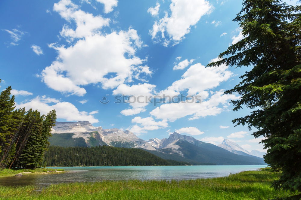 Similar – Image, Stock Photo Braies Wild Lake