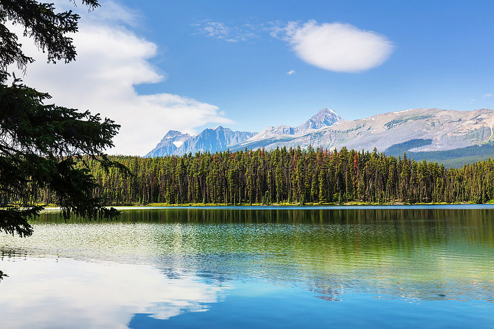 Similar – Image, Stock Photo Summer day at beautiful Moraine Lake