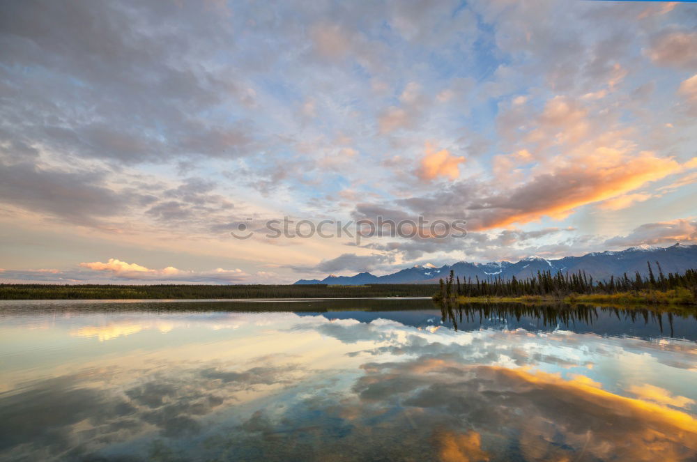 Similar – Image, Stock Photo still wind
