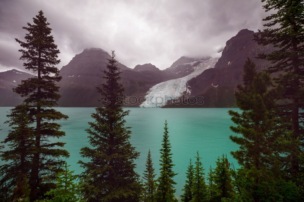 Similar – Lake Louise Environment