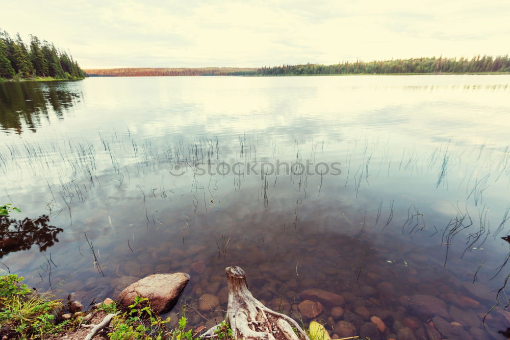 Similar – Image, Stock Photo Wooden boat on the shore full of water