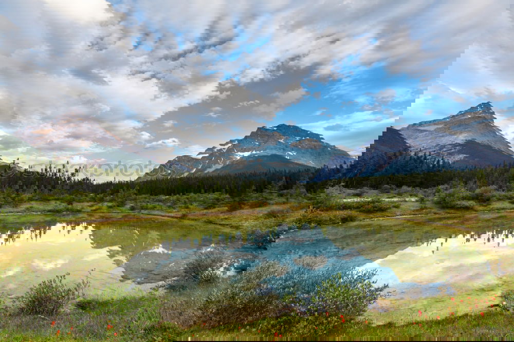 Similar – Image, Stock Photo Reflection of an autumn landscape in a lake