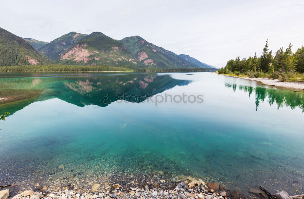 Similar – Image, Stock Photo Trash 2018 in front of the cabin!