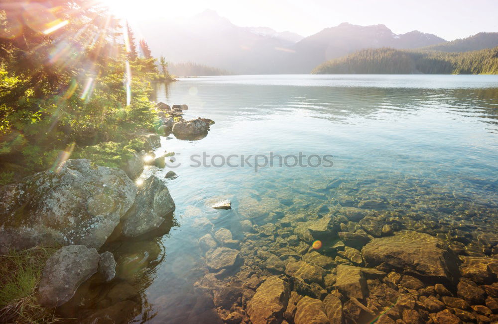 Similar – Image, Stock Photo robot unicorn attack on fairy tale castle