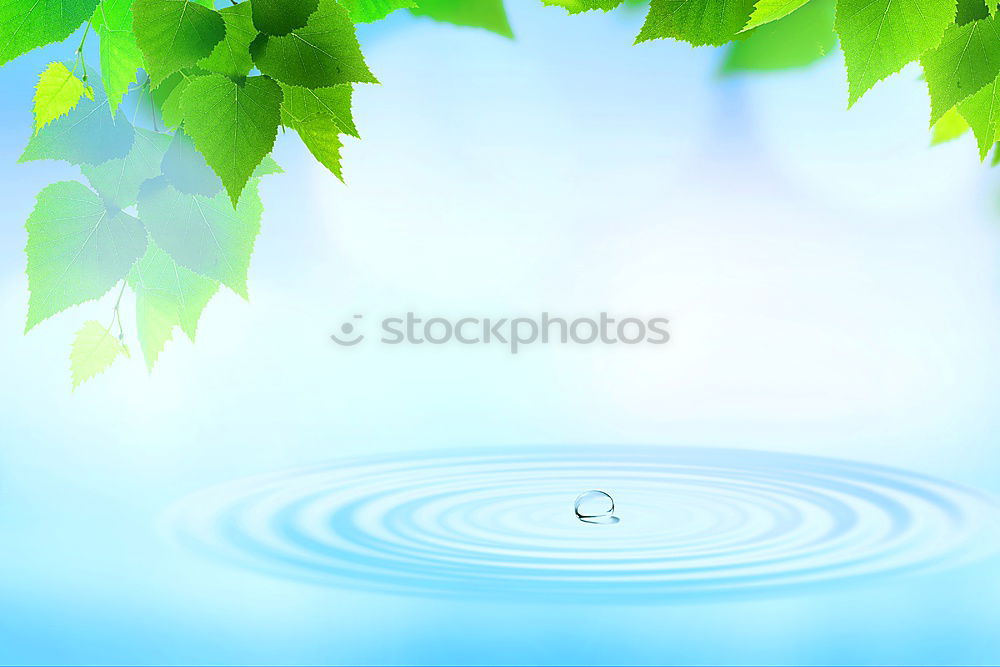 Similar – Image, Stock Photo Lent Plant Leaf