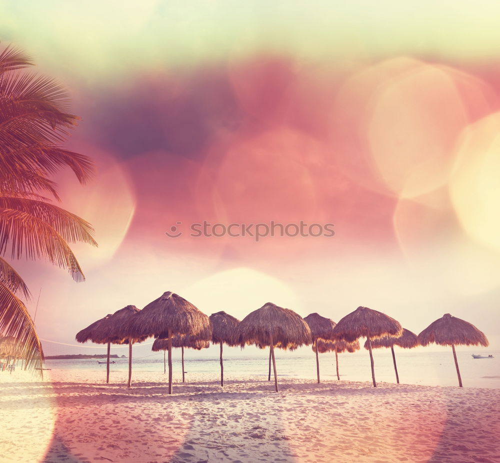 Similar – Image, Stock Photo Wooden umbrellas in a beach at sunset