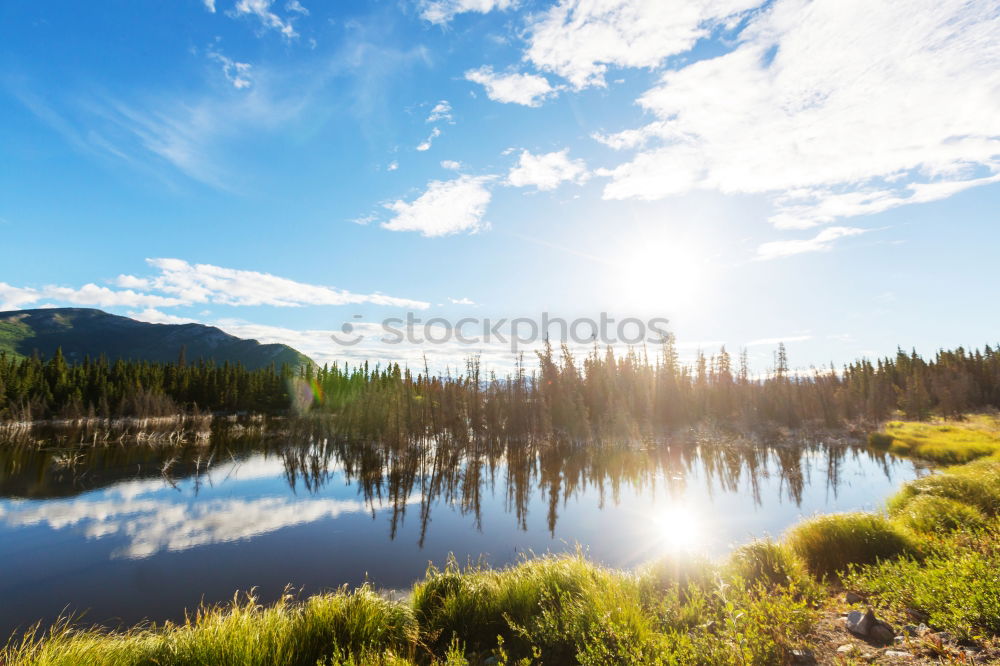 Similar – Image, Stock Photo Lütsche Dam / Thuringia