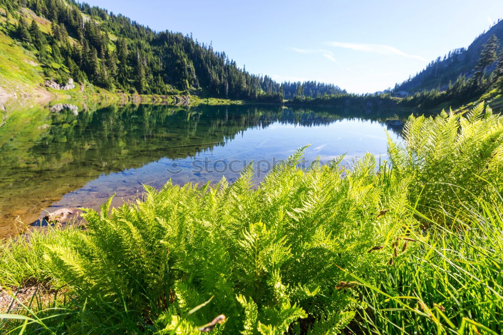 Similar – Lake Engstlen Relaxation