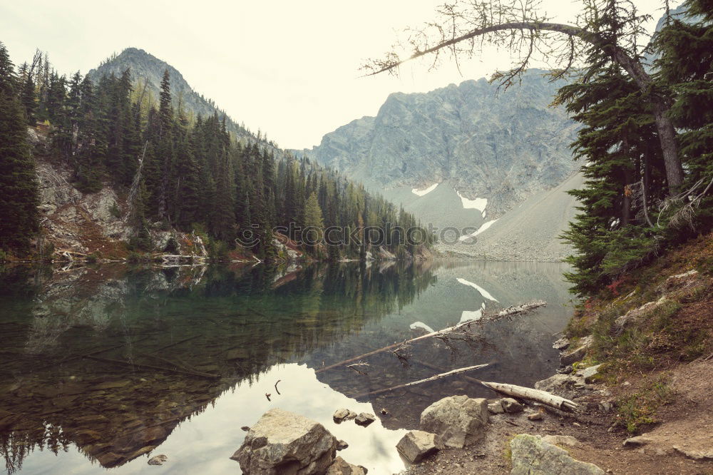 Similar – Mountain lake in coniferous trees