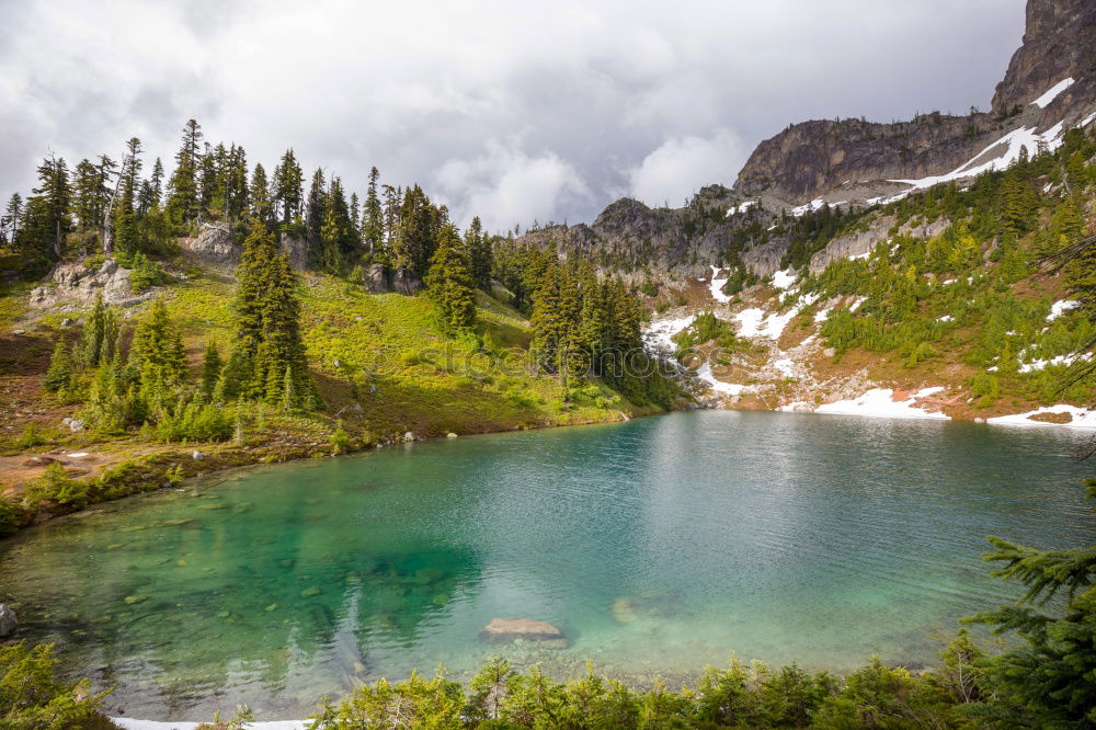 Image, Stock Photo Lake Swan Environment