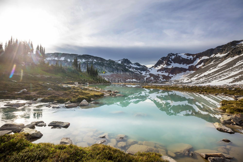 Similar – Image, Stock Photo Lake Swan Environment