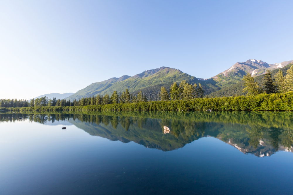 forest bath Nature Horizon