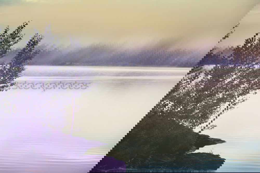Similar – Image, Stock Photo Éveil sur le lac Wellness