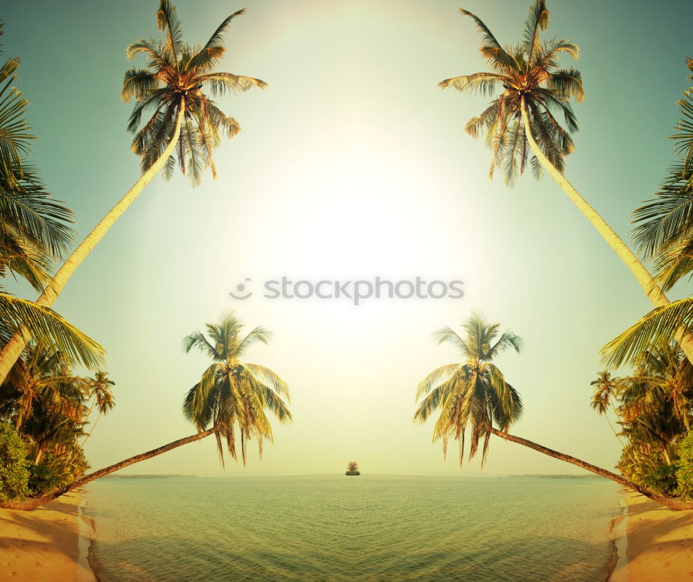 Similar – Image, Stock Photo Divided summer