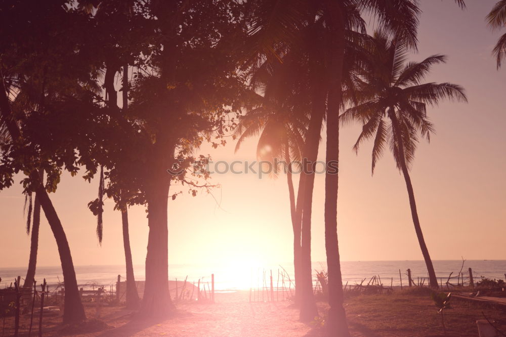 Similar – Image, Stock Photo Los Angeles Beach at Santa Monica Pier