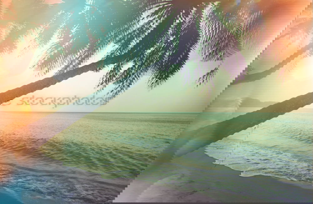 Similar – Image, Stock Photo Beaches Lifestyle