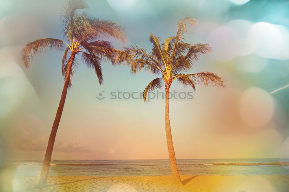 Similar – Image, Stock Photo Los Angeles Beach at Santa Monica Pier