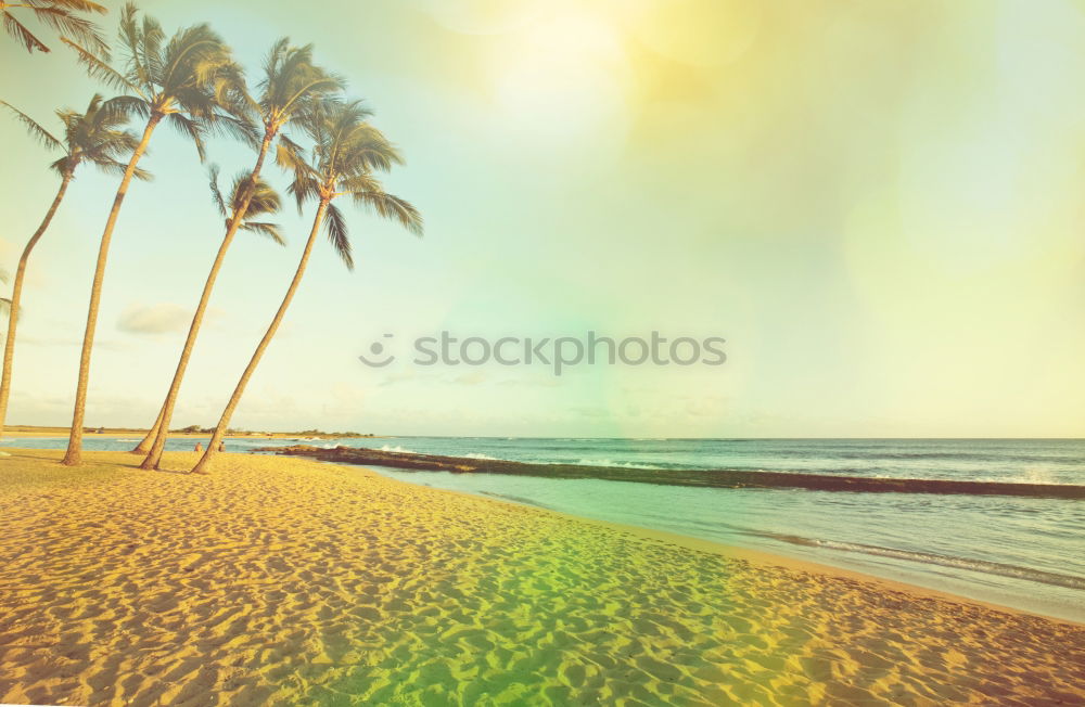 Similar – Image, Stock Photo . Relaxation Calm