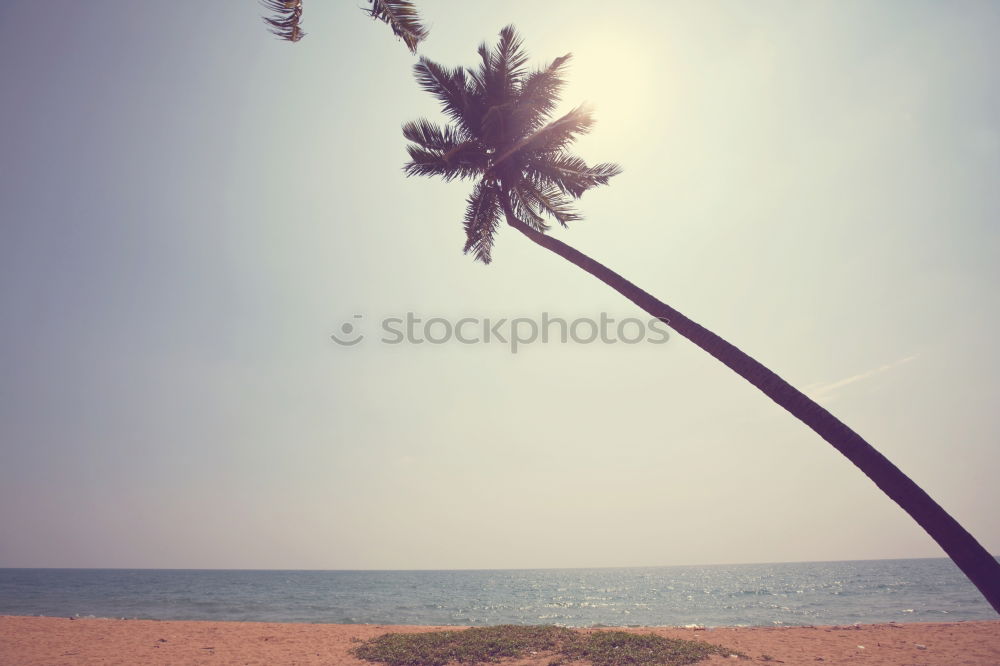 Similar – Image, Stock Photo Dream beach 4 Beach Sky