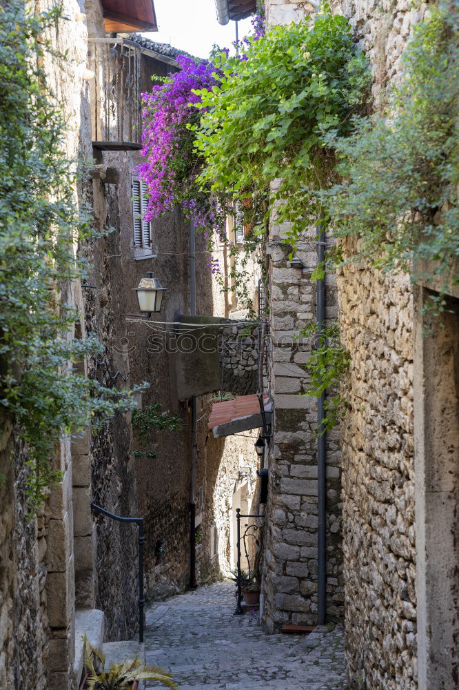 Similar – street Alley Architecture