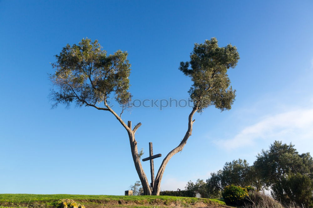 Similar – Image, Stock Photo burnt Far-off places