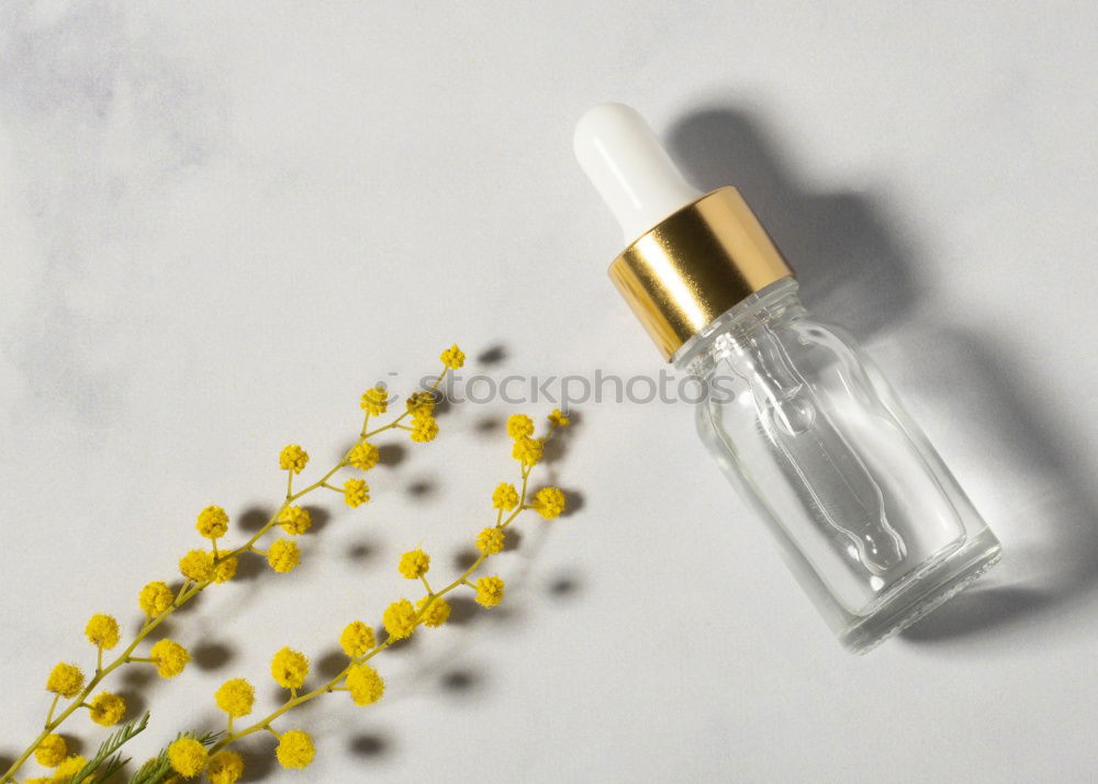 Similar – Image, Stock Photo Essential oil, with natural cherry flowers