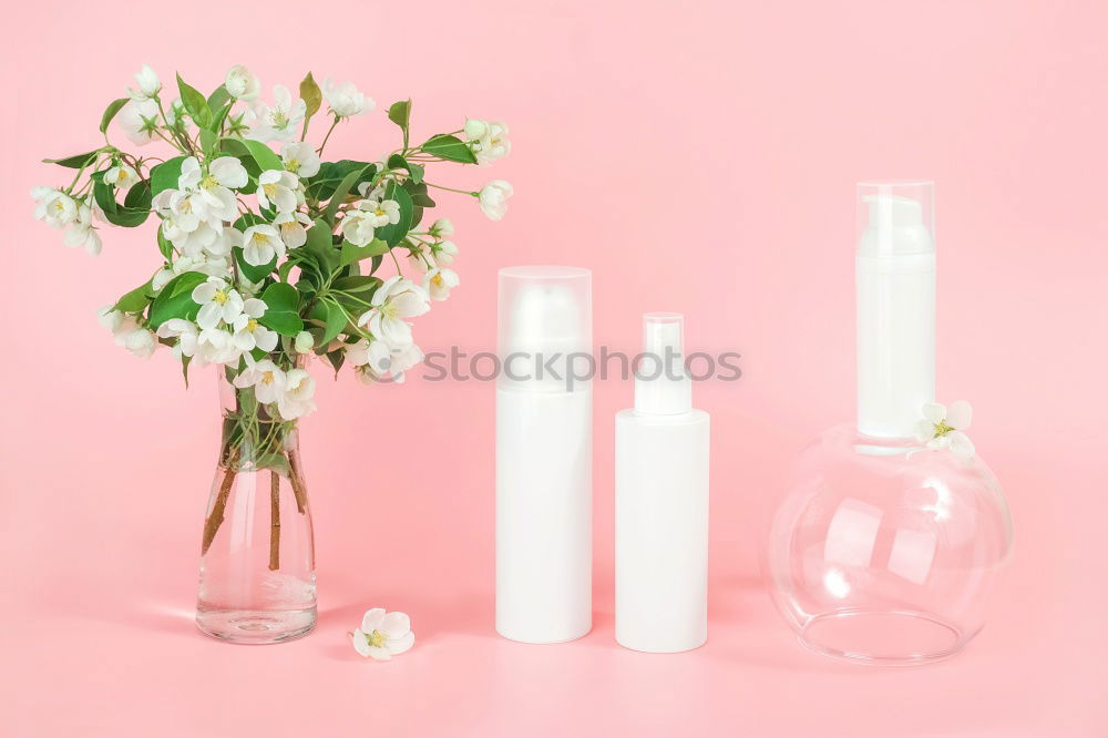 Similar – Image, Stock Photo Natural cosmetics with plants and flowers