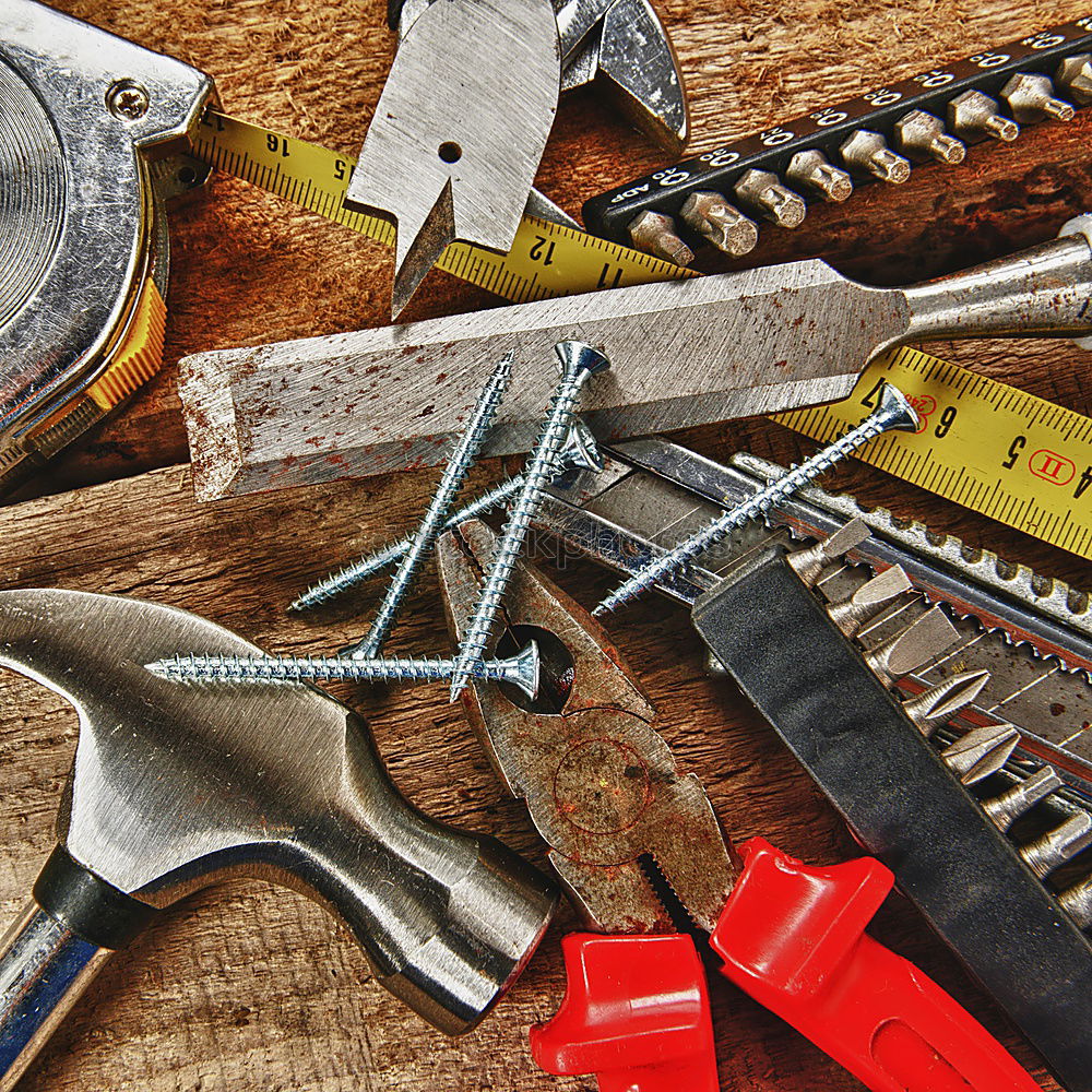 Similar – Image, Stock Photo Bite me! Two pincers with eyes on an old wooden table
