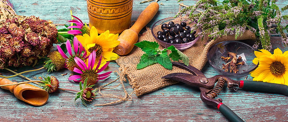Similar – Image, Stock Photo Female hands hold autumn bouquet of flowers