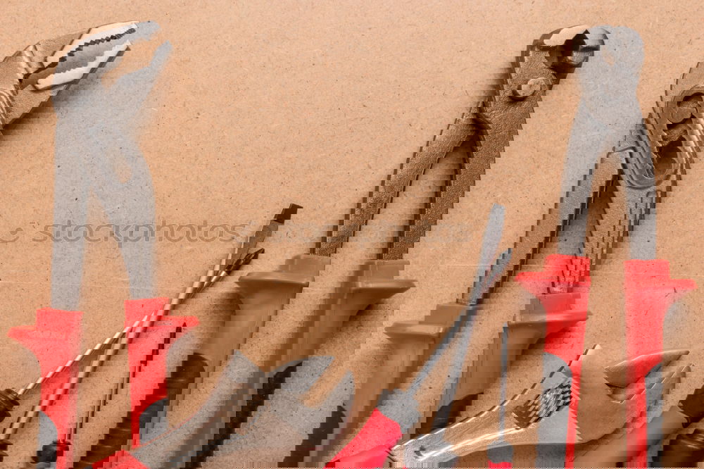 Similar – Image, Stock Photo Bite me! Two pincers with eyes on an old wooden table
