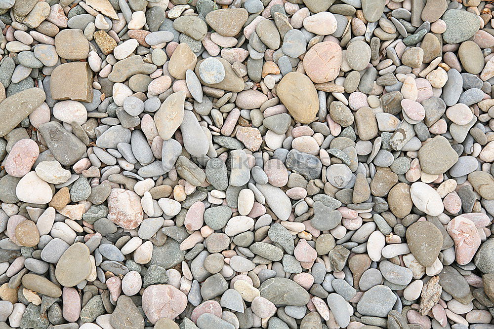 Similar – Image, Stock Photo pebble Pebble Gravel Stone