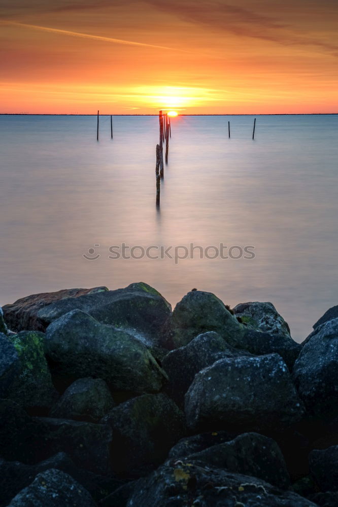 Similar – Image, Stock Photo Seebrücke Ahlbeck on Usedom at sunrise_001