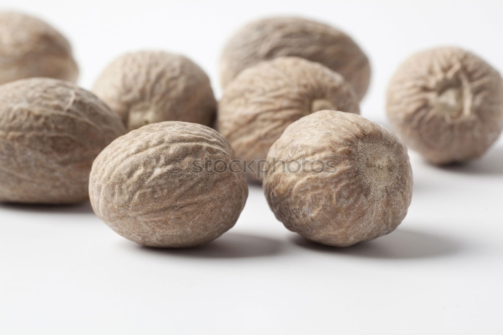 Similar – Nuts Lebensmittel