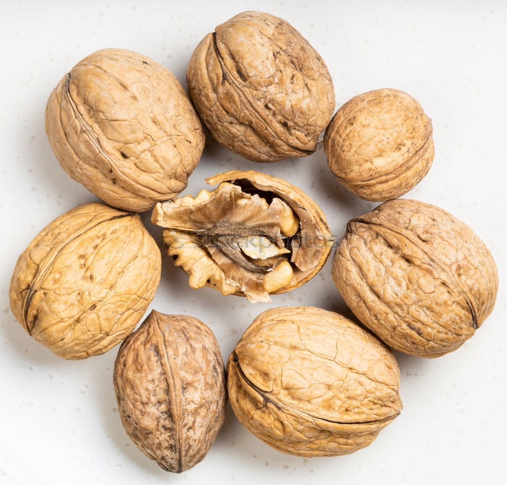 Similar – Mixed nuts in shells. Nut