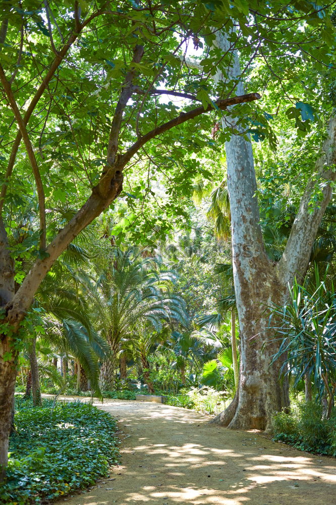 Similar – An old quiet graveyard in Macao, China