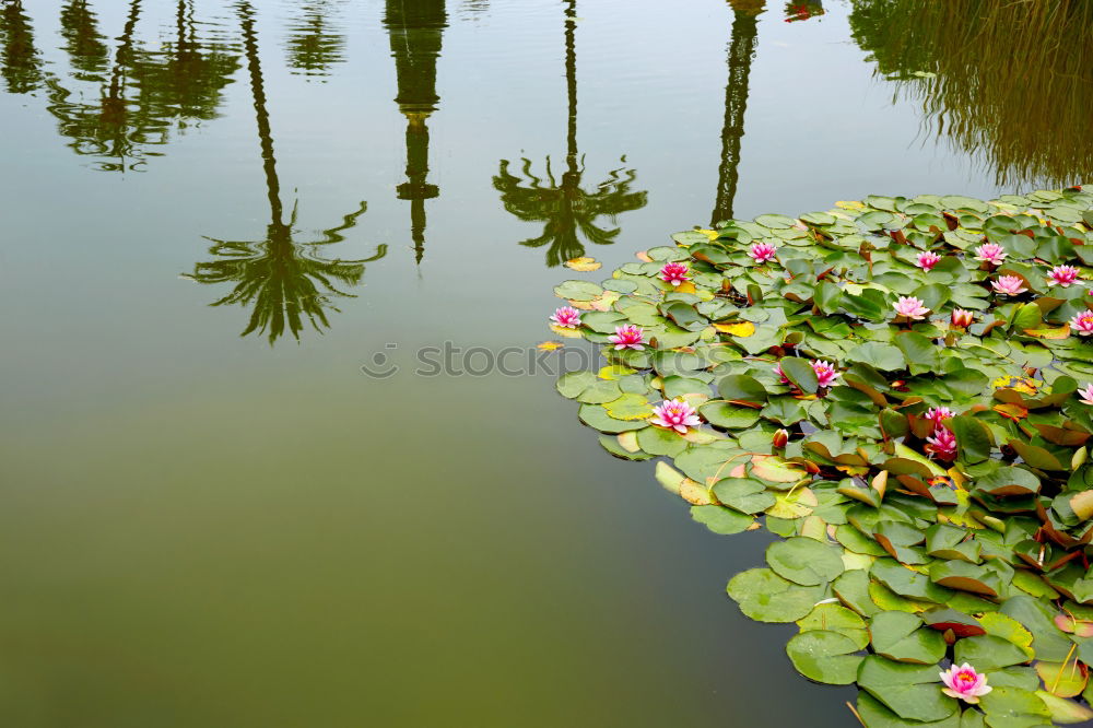 Similar – Image, Stock Photo water house Colour photo