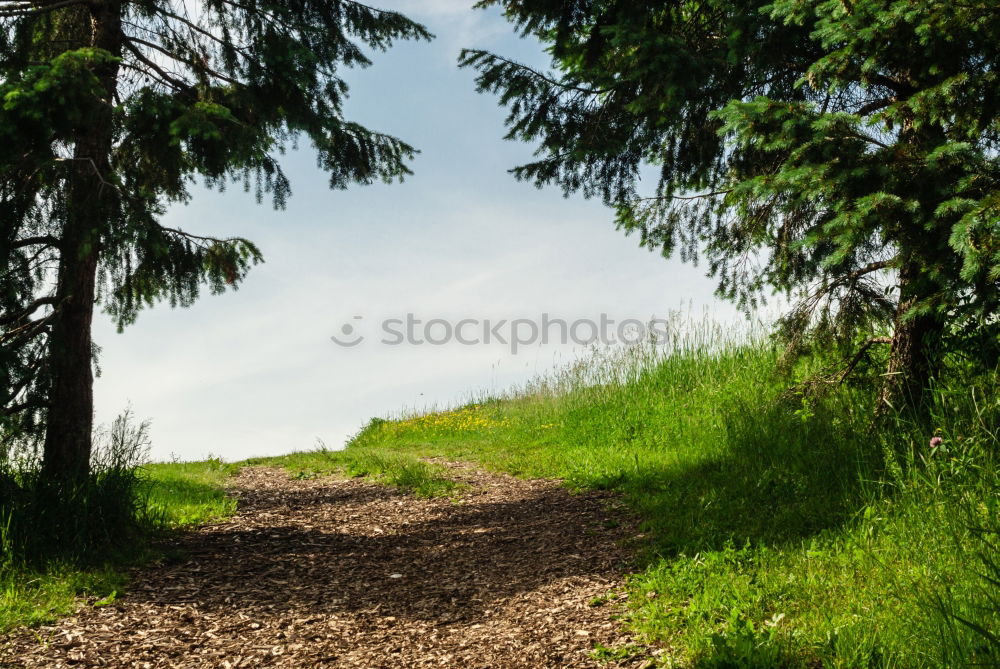 Similar – Image, Stock Photo Continue Trip Hiking Legs