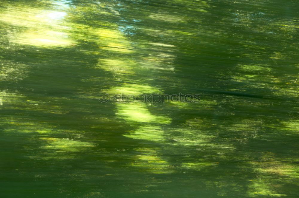 Similar – Image, Stock Photo reflection leaves water sky