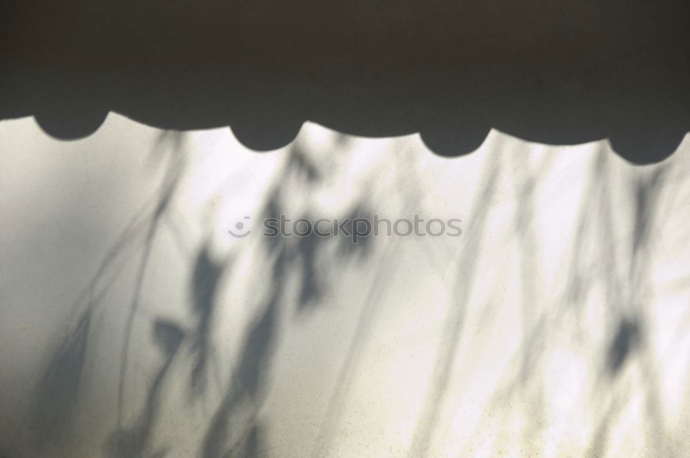 Similar – Image, Stock Photo and in front hangs the geranium box