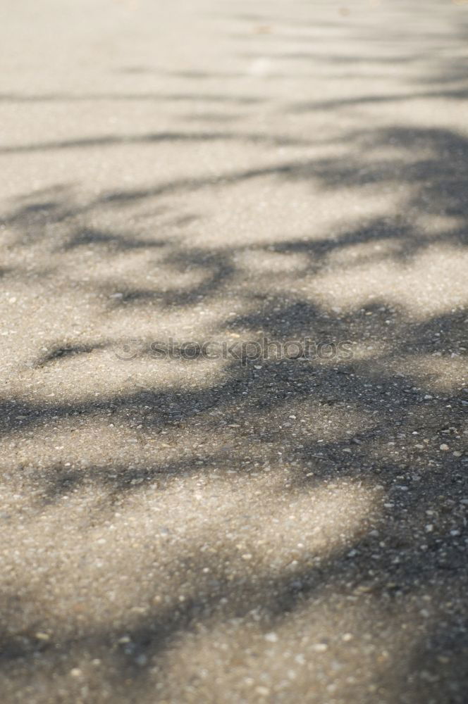 Similar – Image, Stock Photo shadow hunter Human being