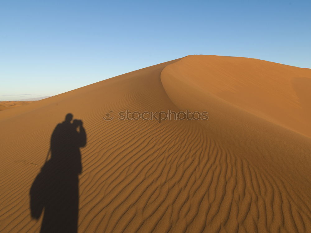 Similar – Desert (6/10) Sand Dune