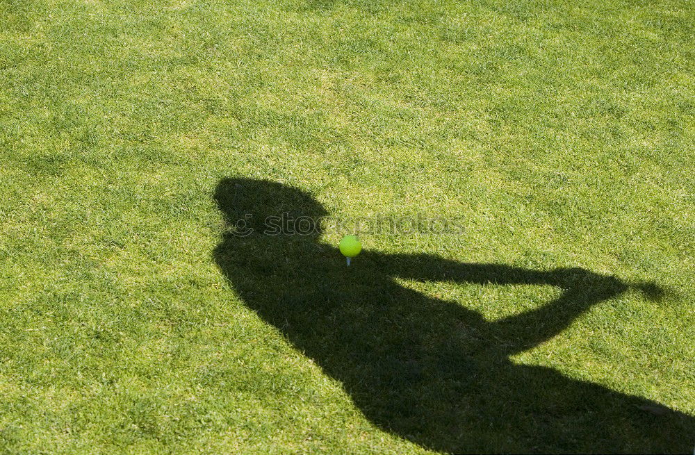 Similar – Image, Stock Photo Spiderman’s Shadow Meadow