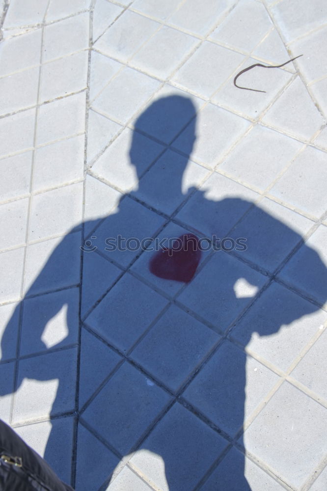 Similar – Image, Stock Photo hand shadow stone Life