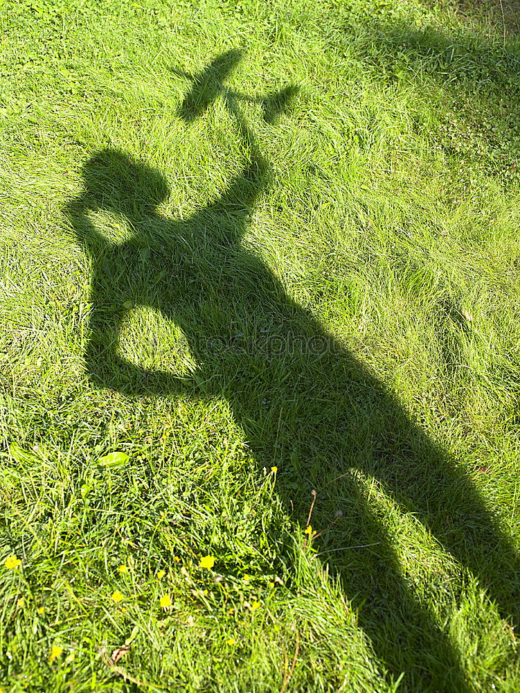 Similar – Image, Stock Photo Spiderman’s Shadow Meadow