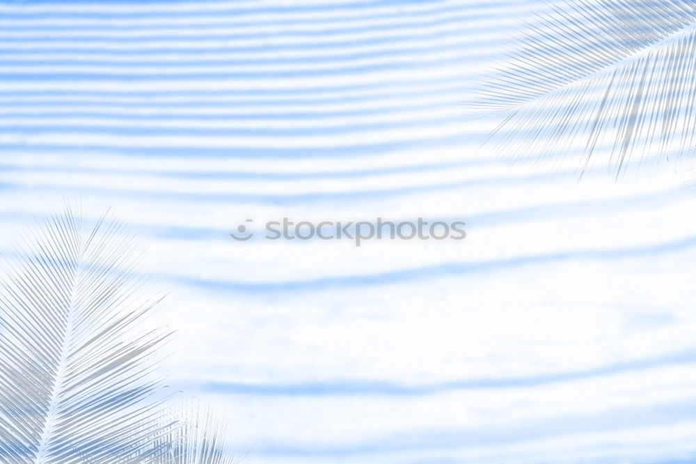 Similar – Image, Stock Photo Modern times