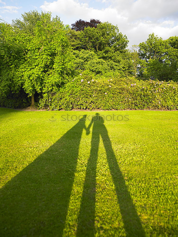 Shadow of a person leaning on a tree