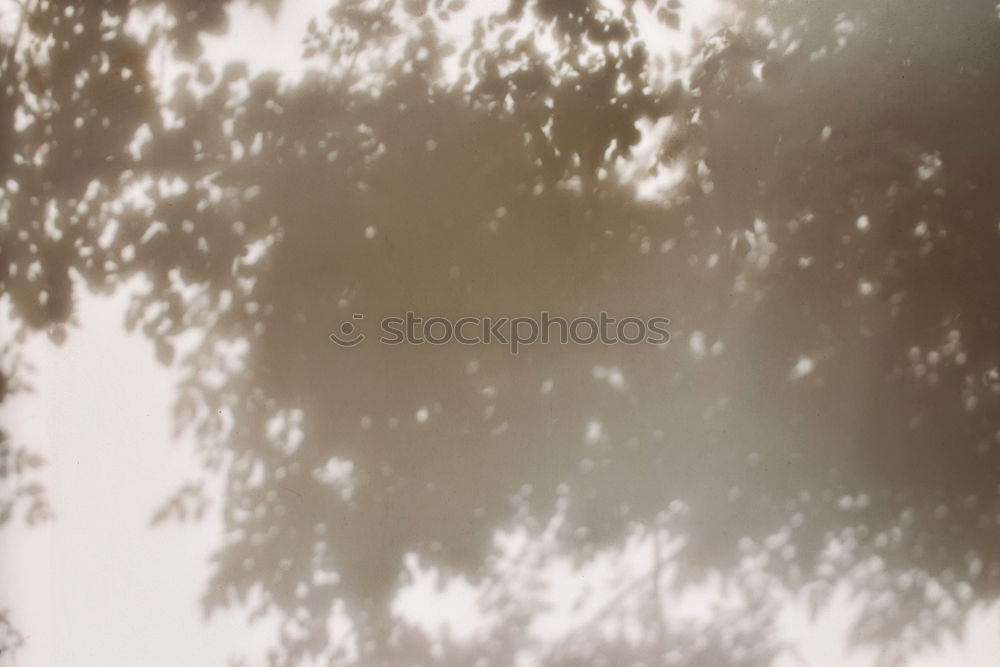 Similar – Image, Stock Photo downstairs Garden Legs